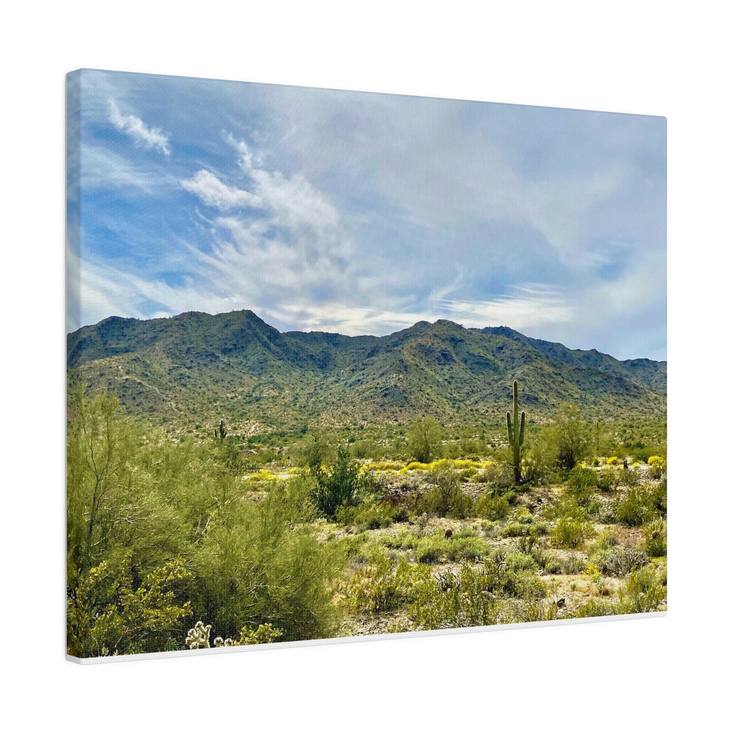 Desert Paradise - Matte Canvas, Stretched, 0.75"