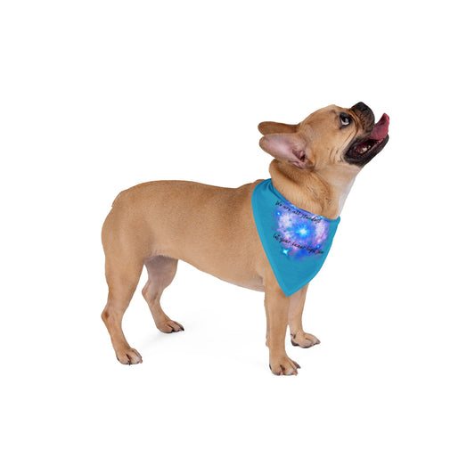 Let Your Inner Light Shine - Pet Bandana