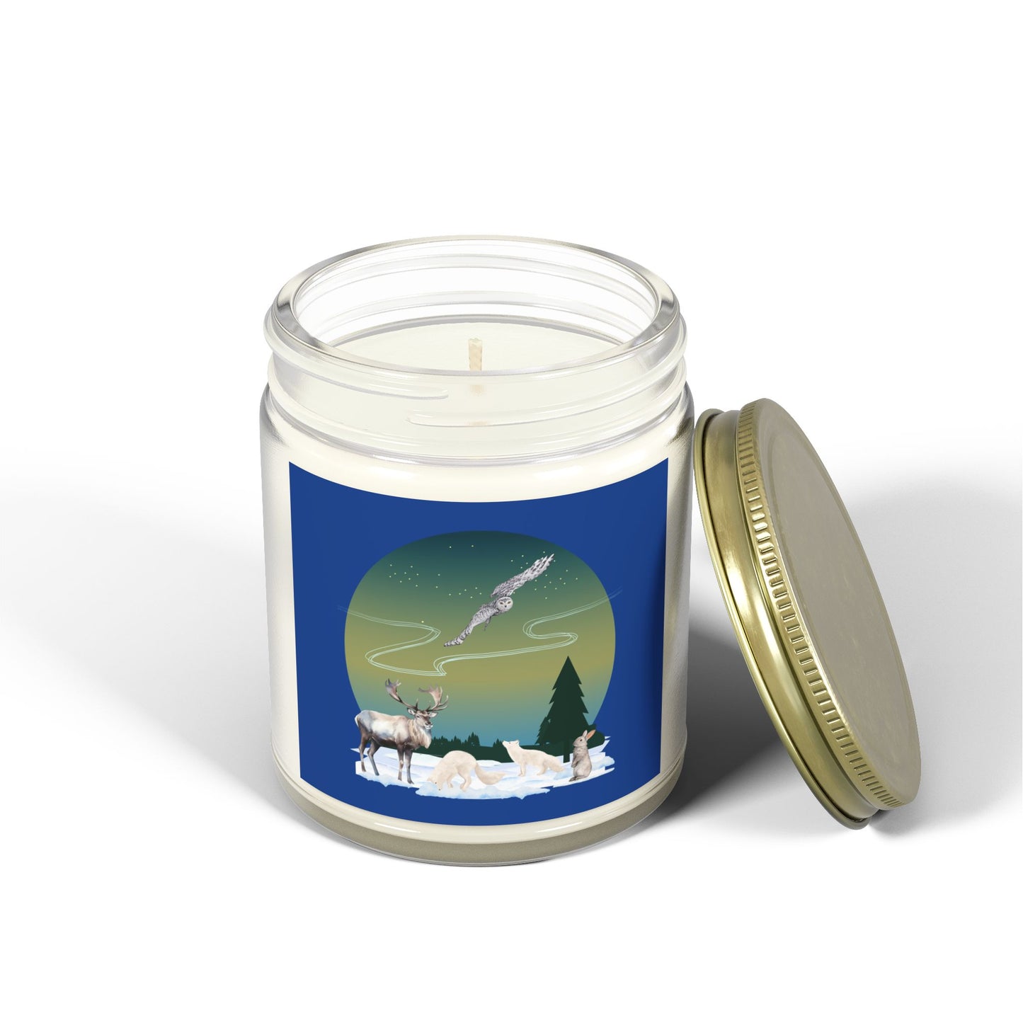 Winter Wonderland - Scented Candles, Coconut Apricot Wax (4oz, 9oz)