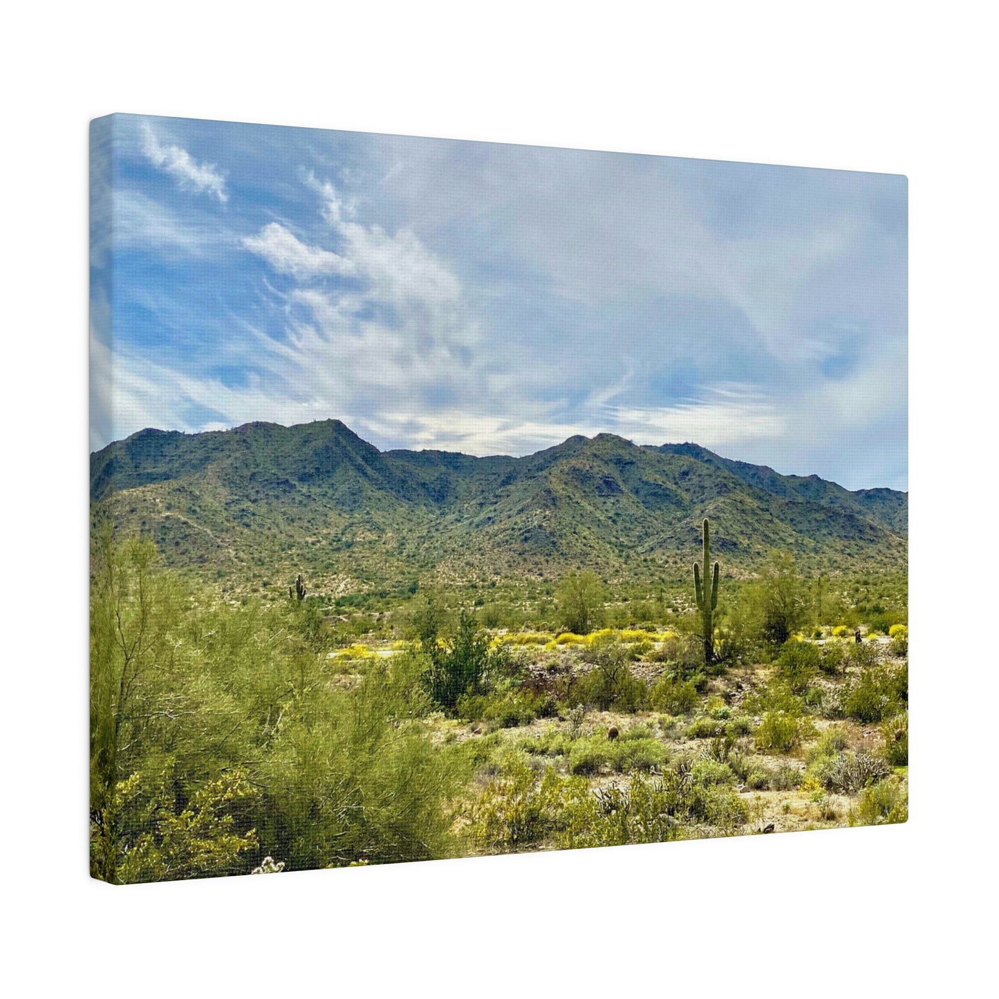 Desert Paradise - Matte Canvas, Stretched, 0.75"