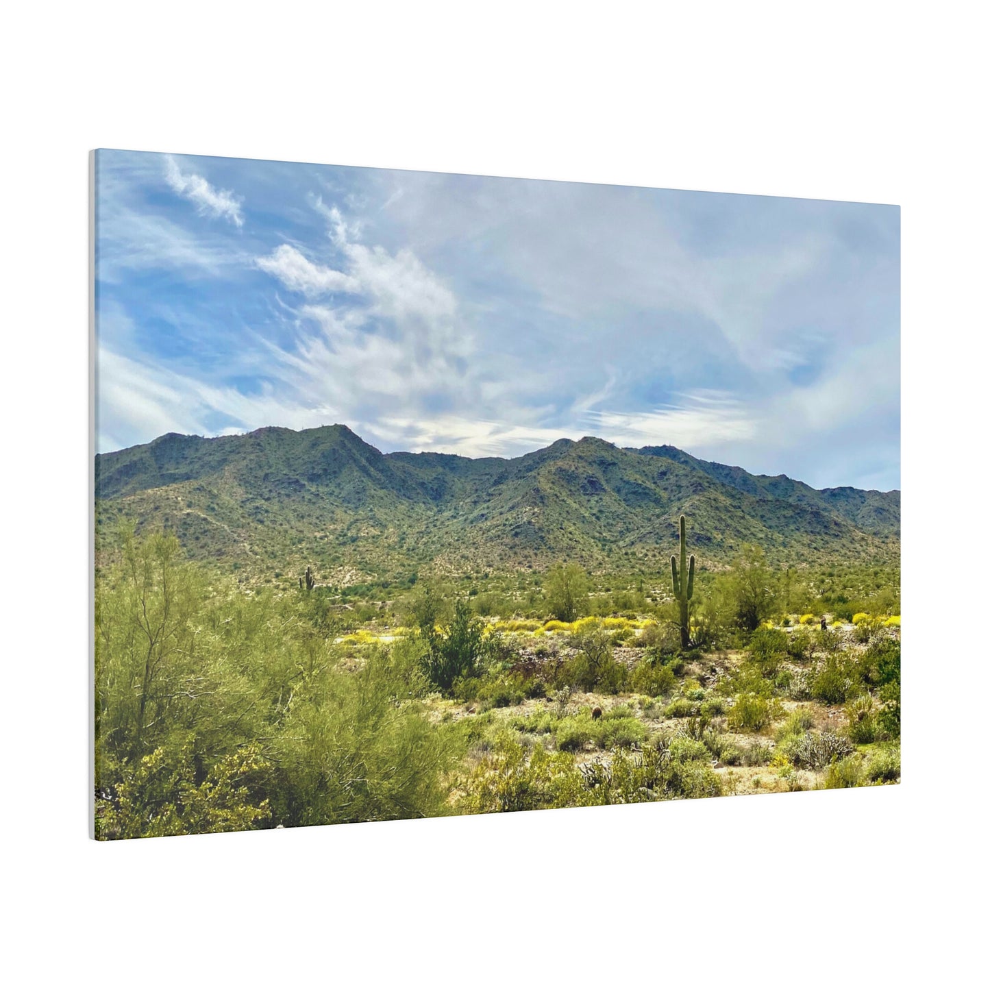 Desert Paradise - Matte Canvas, Stretched, 0.75"