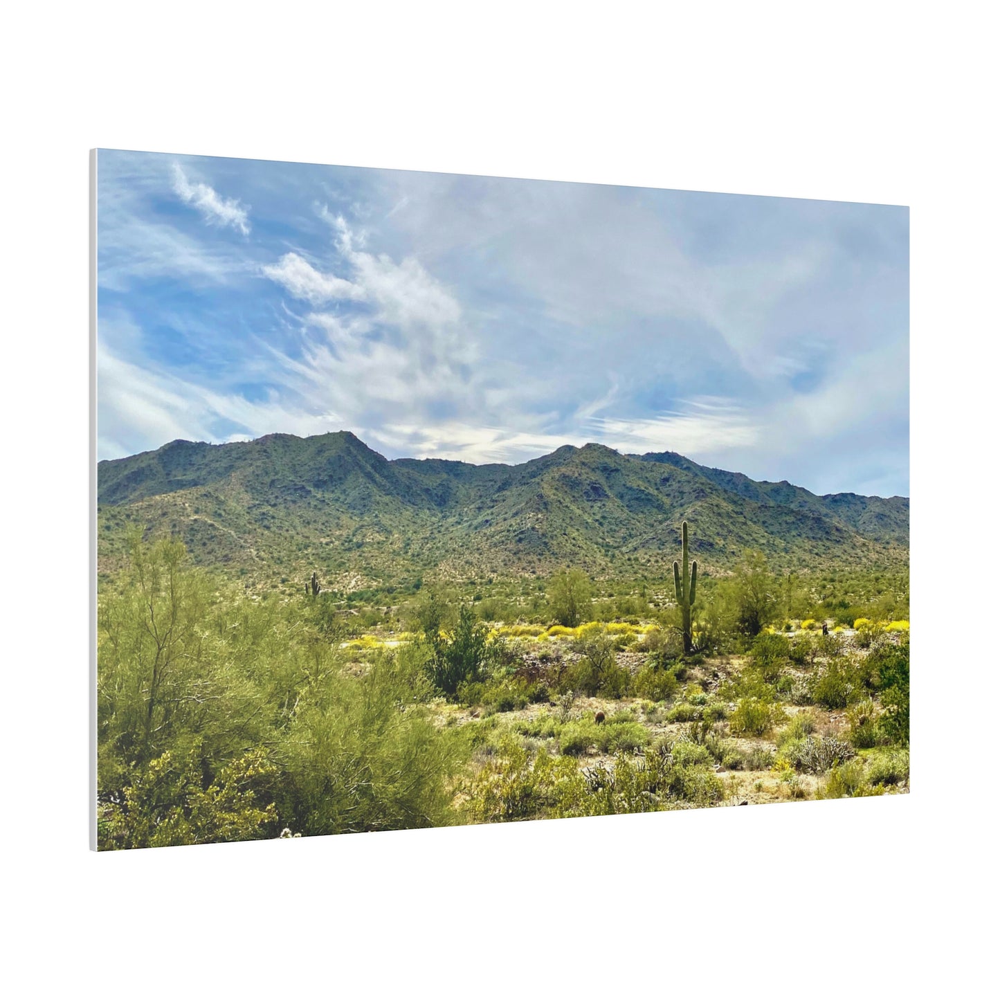 Desert Paradise - Matte Canvas, Stretched, 0.75"