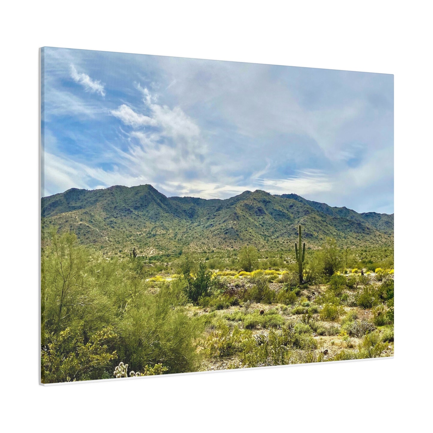 Desert Paradise - Matte Canvas, Stretched, 0.75"