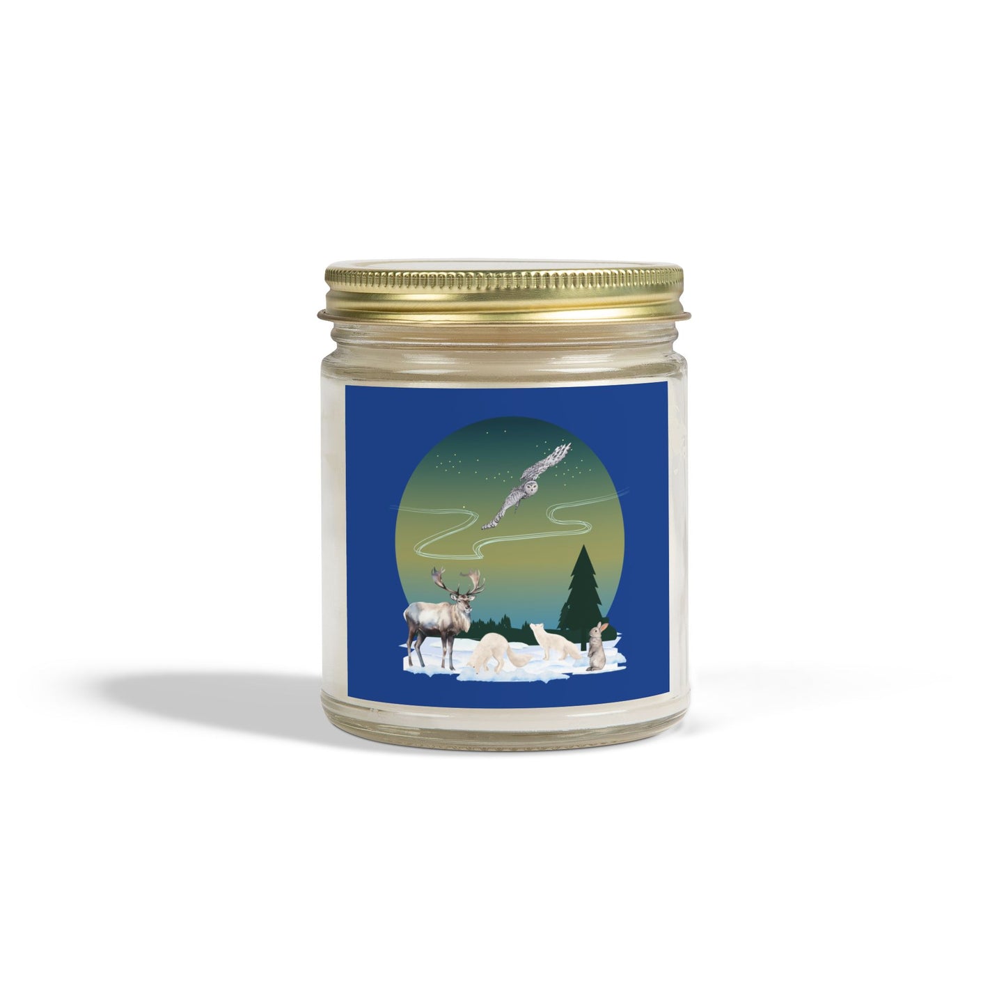 Winter Wonderland - Scented Candles, Coconut Apricot Wax (4oz, 9oz)