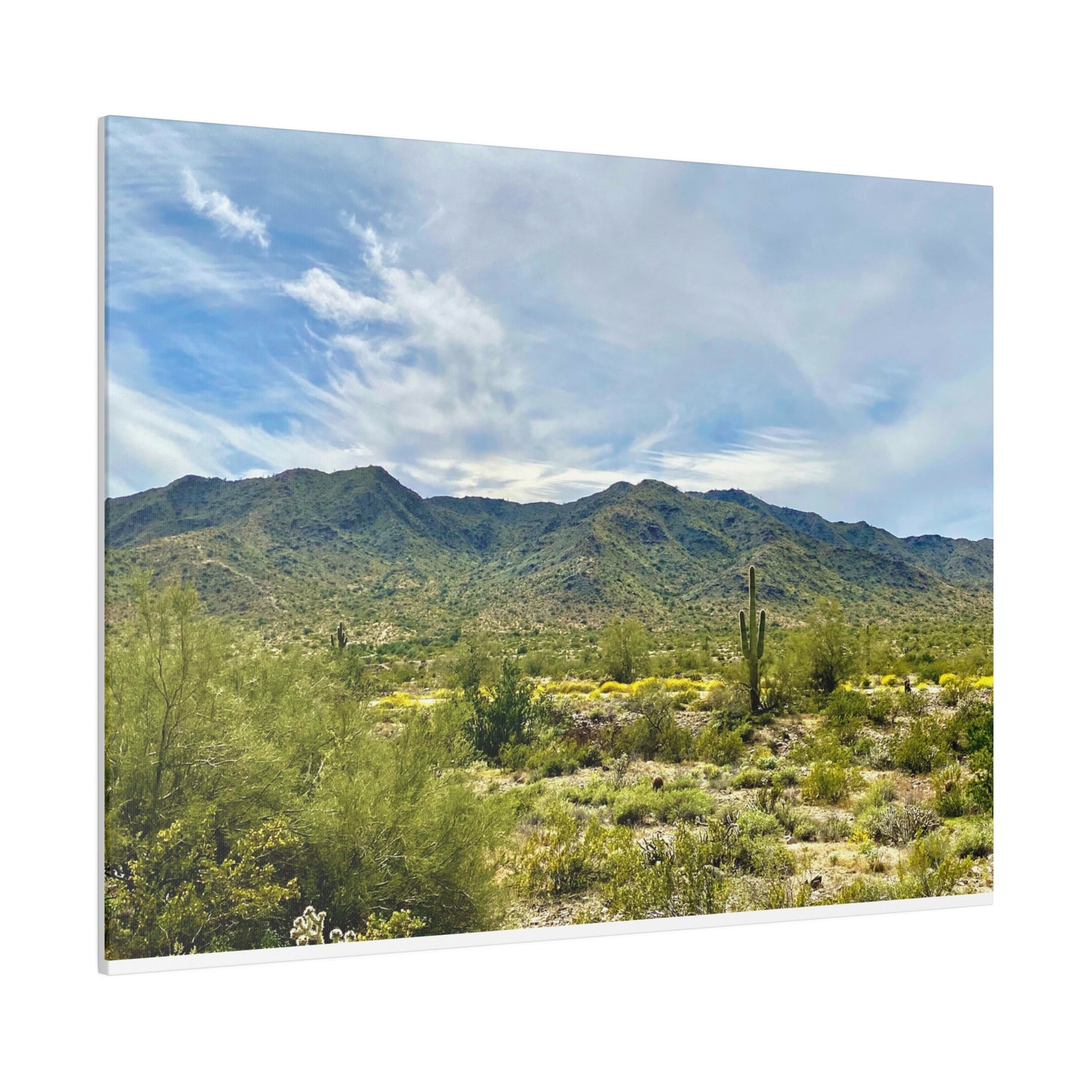 Desert Paradise - Matte Canvas, Stretched, 0.75"