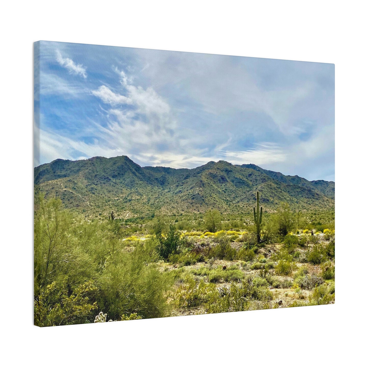 Desert Paradise - Matte Canvas, Stretched, 0.75"