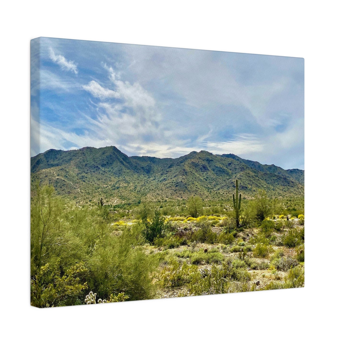 Desert Paradise - Matte Canvas, Stretched, 0.75"