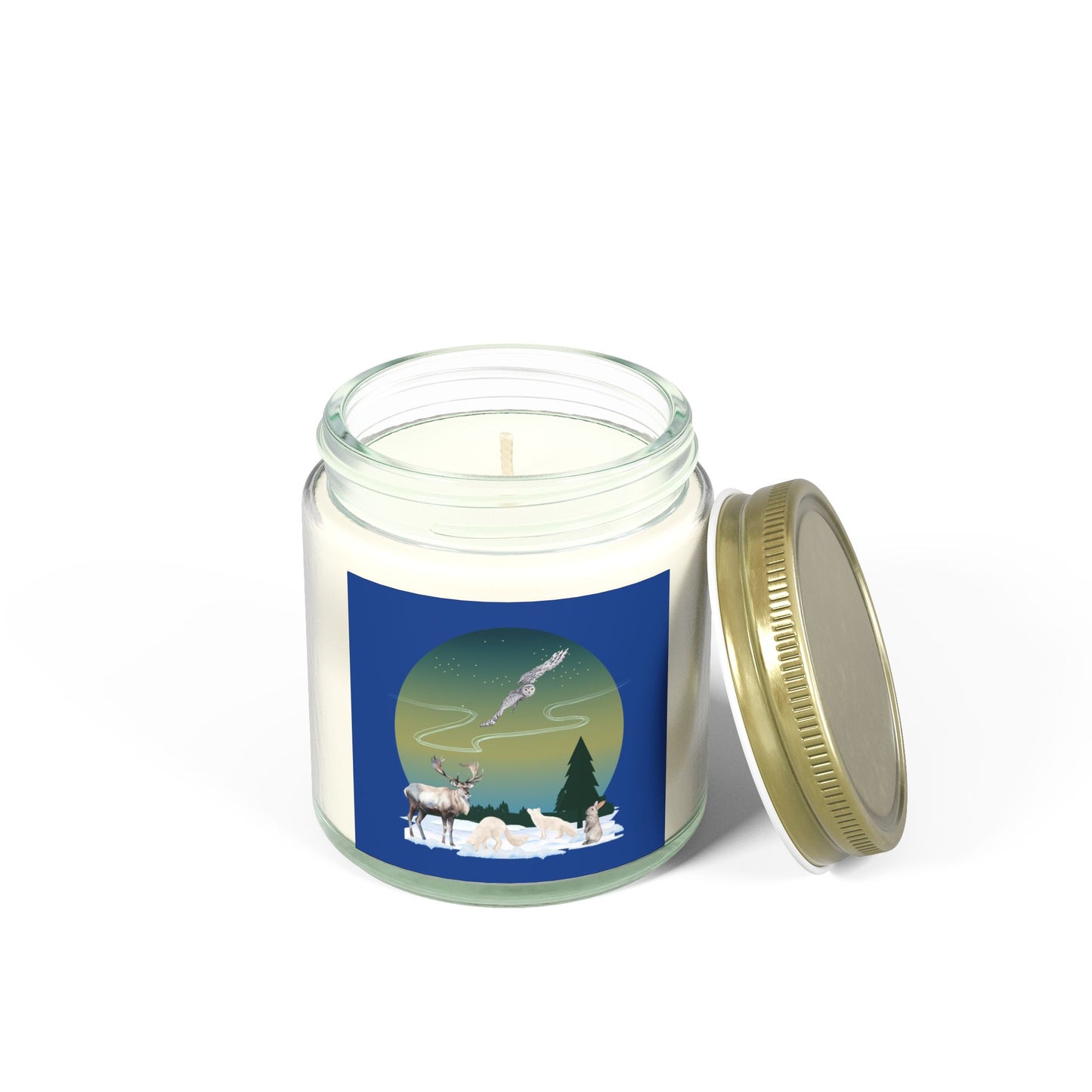 Winter Wonderland - Scented Candles, Coconut Apricot Wax (4oz, 9oz)