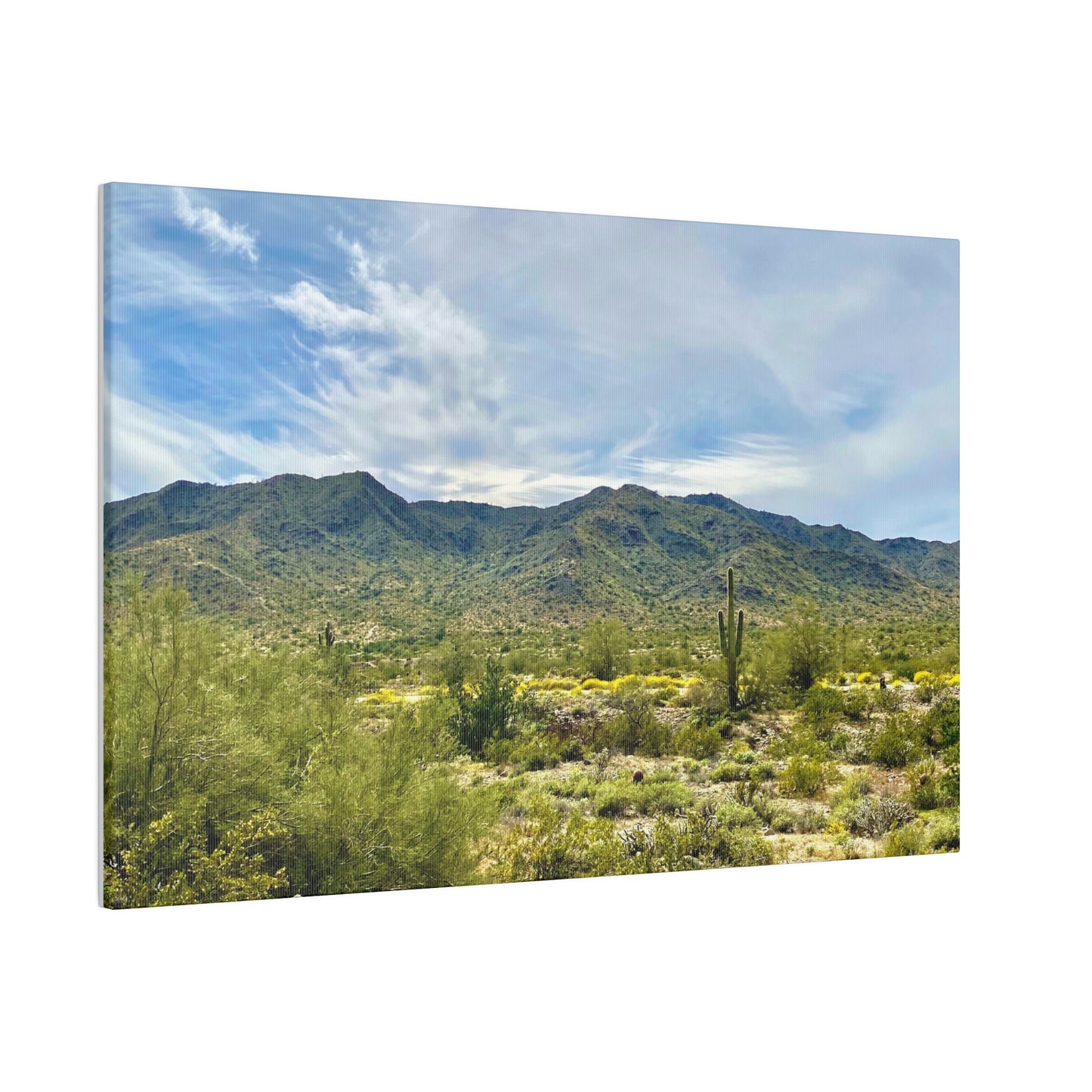 Desert Paradise - Matte Canvas, Stretched, 0.75"