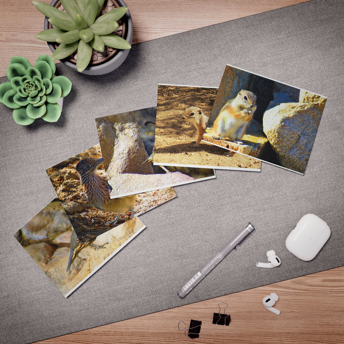 Desert Cuties - Multi-Design Greeting Cards (5-Pack)