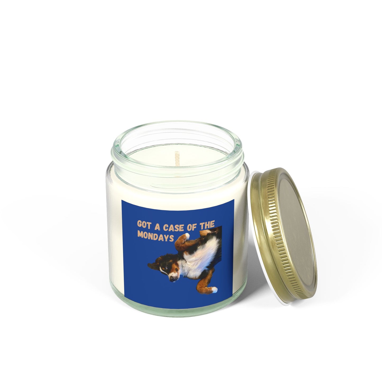 Case of the Mondays - Scented Coconut Apricot Candles (4oz, 9oz)